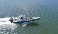 Rigid inflatable boat for sale