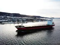 Bulk carrier for sale