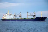 Bulk carrier for sale