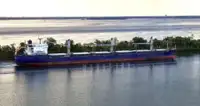 Bulk carrier for sale