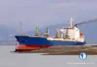 Reefer ship for sale