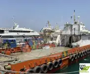 wind farm vessel for sale