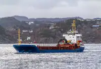 Bulk carrier for sale