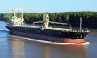 Bulk carrier for sale