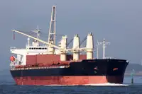 Bulk carrier for sale