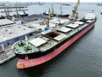 Bulk carrier for sale