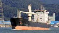 Bulk carrier for sale