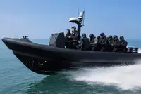Rigid inflatable boat for sale
