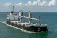 Bulk carrier for sale
