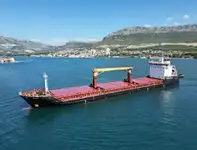 Bulk carrier for sale