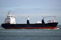 Bulk carrier for sale