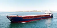 Bulk carrier for sale