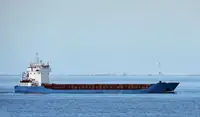 Bulk carrier for sale