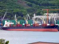 Bulk carrier for sale