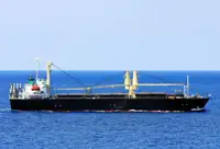 Bulk carrier for sale