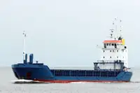 Bulk carrier for sale