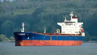 Bulk carrier for sale
