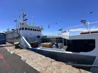 Fishing Trawler for sale