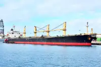 Bulk carrier for sale