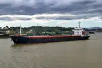 Bulk carrier for sale