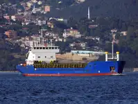 Bulk carrier for sale