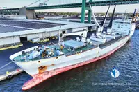 Reefer ship for sale