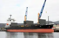 Bulk carrier for sale