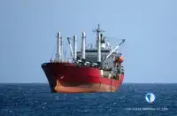 Reefer ship for sale
