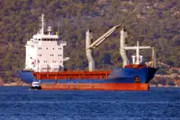 Bulk carrier for sale