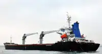 Bulk carrier for sale