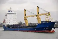 Bulk carrier for sale