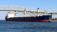 Bulk carrier for sale