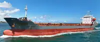 Bulk carrier for sale