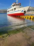 Cruise ship for sale