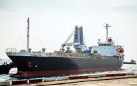 Bulk carrier for sale