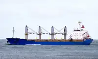 Bulk carrier for sale