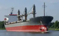 Bulk carrier for sale