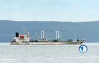 Reefer ship for sale