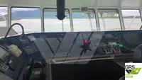 RORO ship for sale
