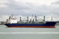 Bulk carrier for sale