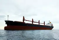 Bulk carrier for sale