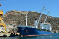 Bulk carrier for sale