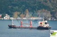 Bulk carrier for sale