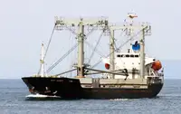 Bulk carrier for sale
