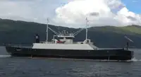 RORO ship for sale