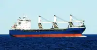 Bulk carrier for sale