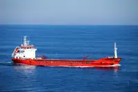 Bulk carrier for sale
