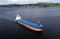 Bulk carrier for sale