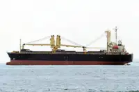 Bulk carrier for sale
