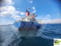 Bulk carrier for sale